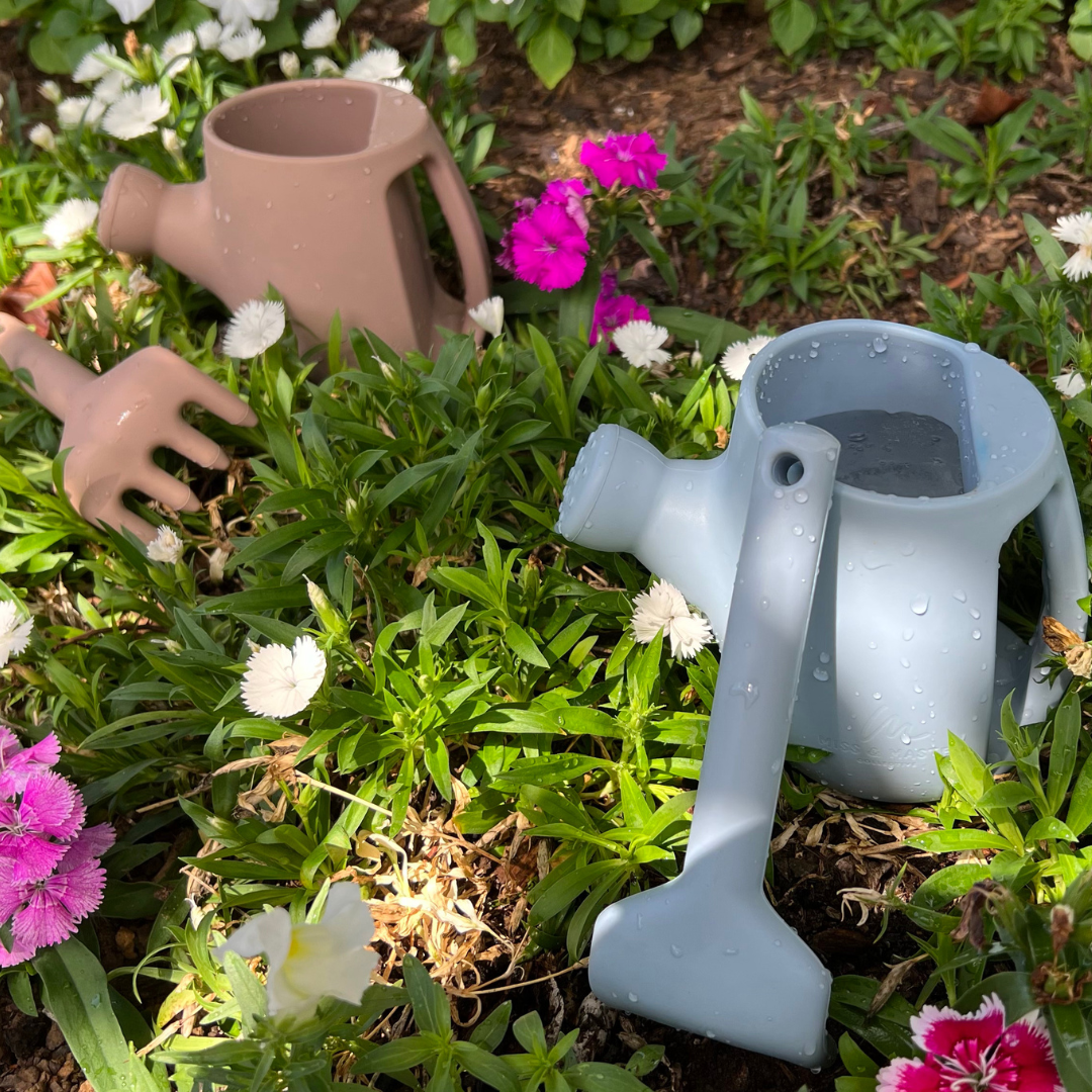 Blue and Rose Silicone Gardening Toy Set